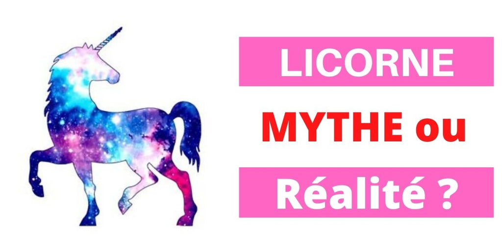 Licorne Mythe ou Réalité ?