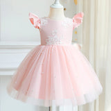 Robe princesse fille rose pâle avec motifs floraux brodés et manches volantées