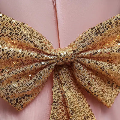 Robe princesse fille rose pastel avec ceinture dorée et broderies florales