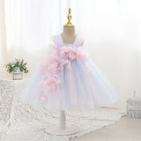Robe cérémonie fille bleu clair et rose pâle avec fleurs en relief