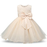 Robe cérémonie fille rose pastel avec motif fleuri en relief et jupe volumineuse