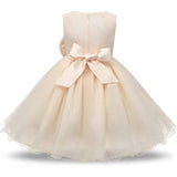 Robe cérémonie fille rose pastel avec motif fleuri en relief et jupe volumineuse