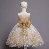 Robe princesse fille rose pastel avec ceinture dorée et broderies florales