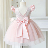 Robe princesse fille rose pâle avec motifs floraux brodés et manches volantées